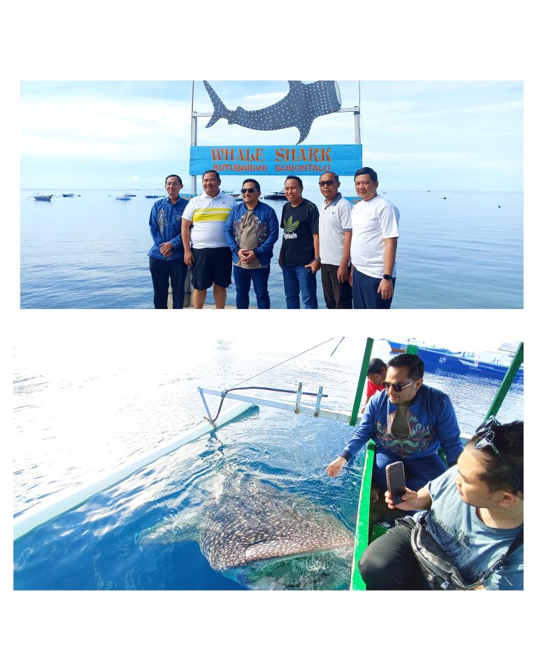 GridArt_20251031_214930096