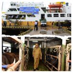 GridArt_20251112_173845480