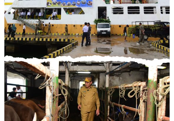 GridArt_20251112_173845480