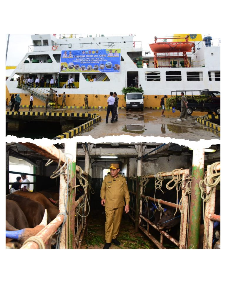 GridArt_20251112_173845480