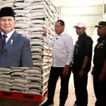 GridArt_20251118_015912262