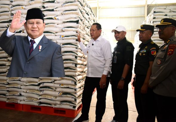 GridArt_20251118_015912262