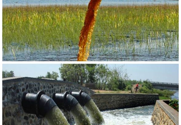 GridArt_20260215_041137027