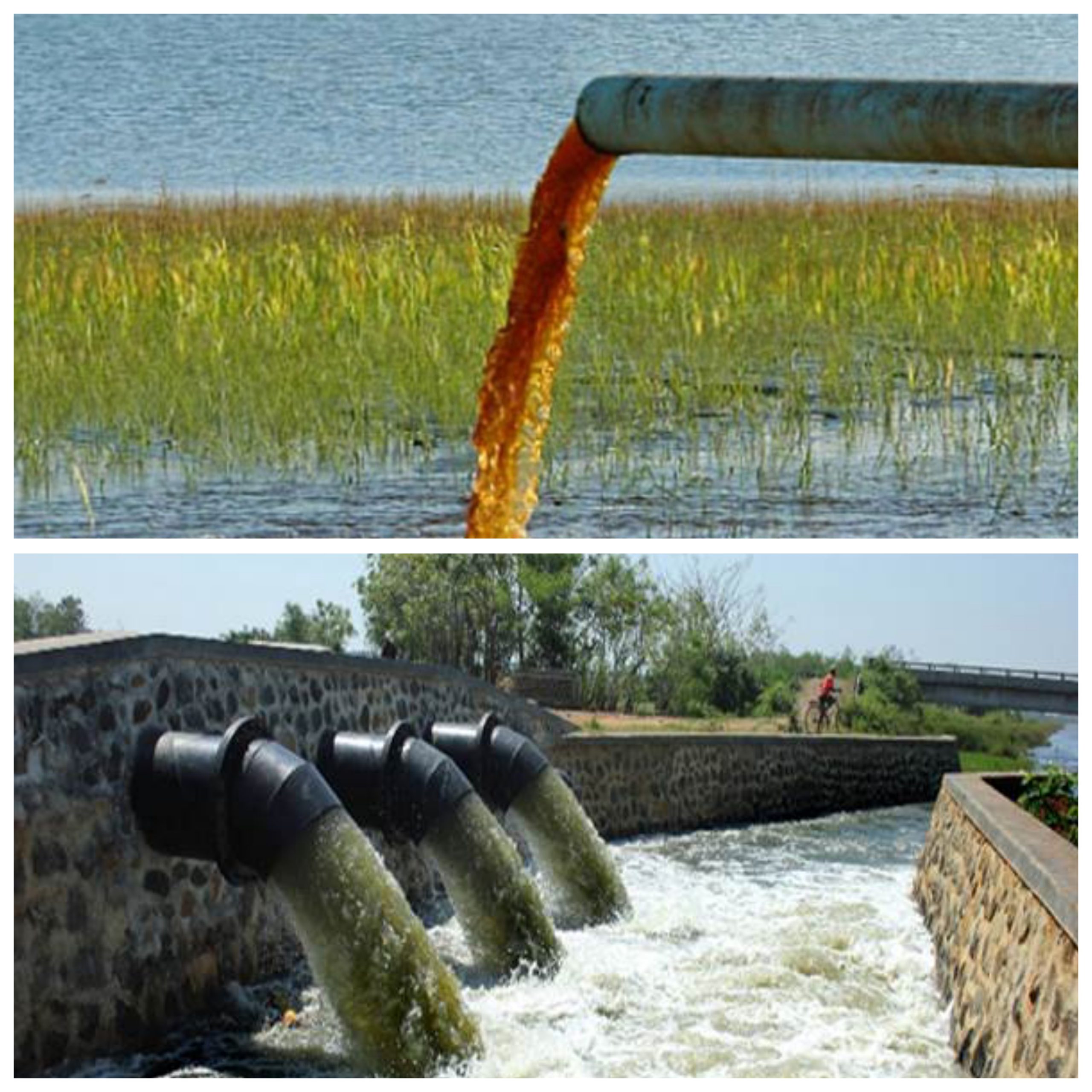 GridArt_20260215_041137027