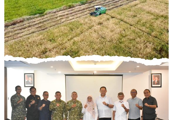 GridArt_20260303_110315980