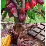 GridArt_20260412_112658535