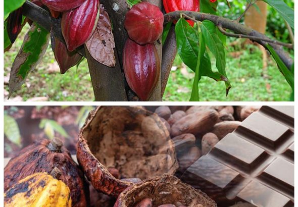 GridArt_20260412_112658535