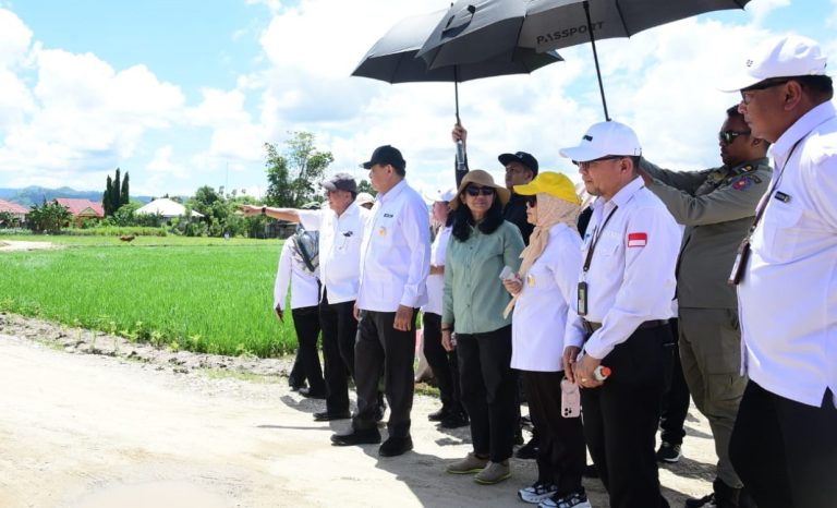 penas gorontalo