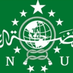 NU.jpg_800-t-533_1